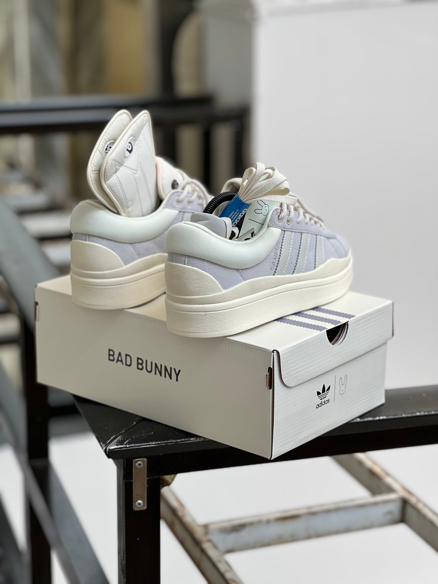 Campus Bad Bunny