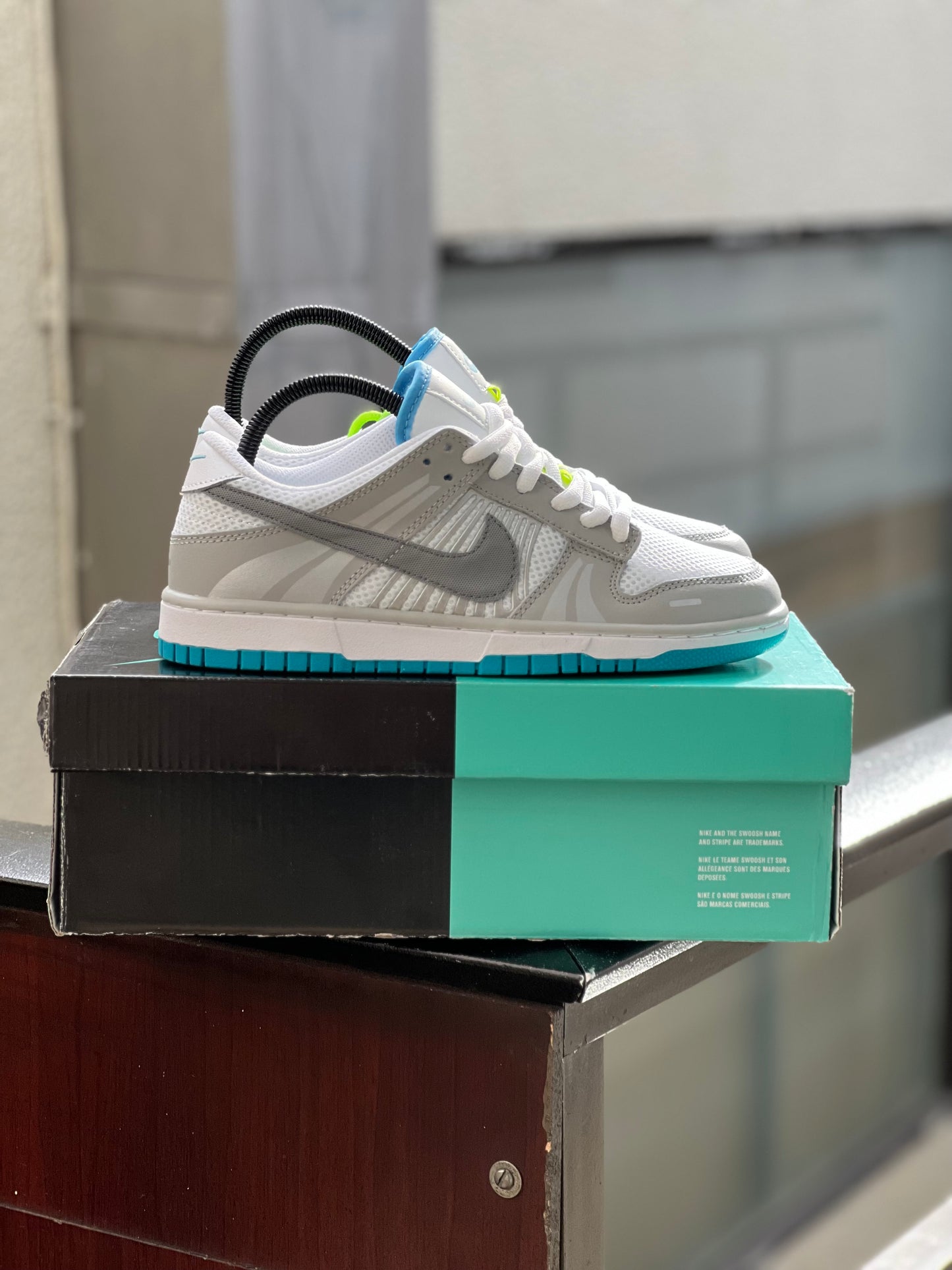 Nike Dunk Low SE