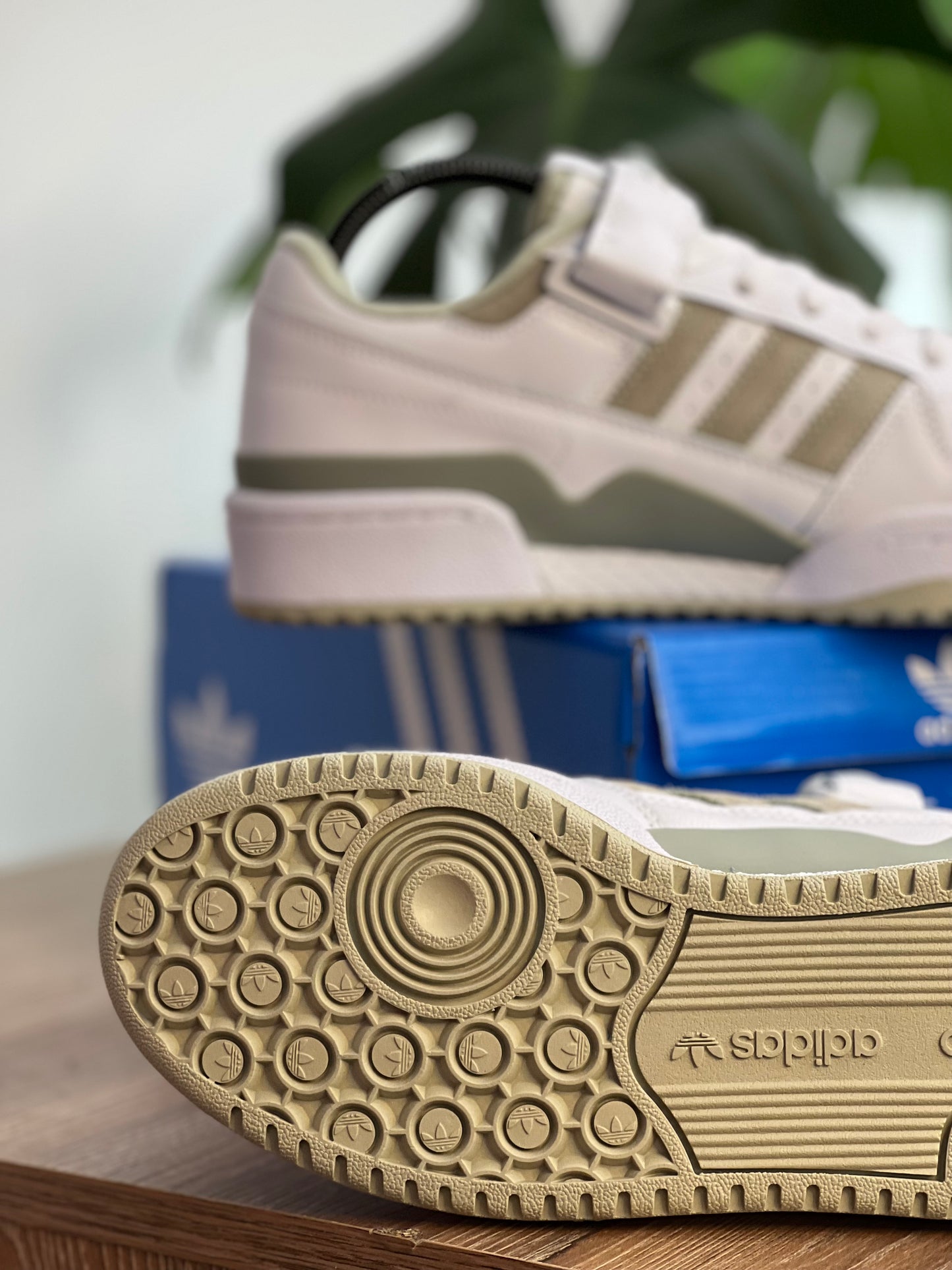 Adidas Forum Low 84 Olive