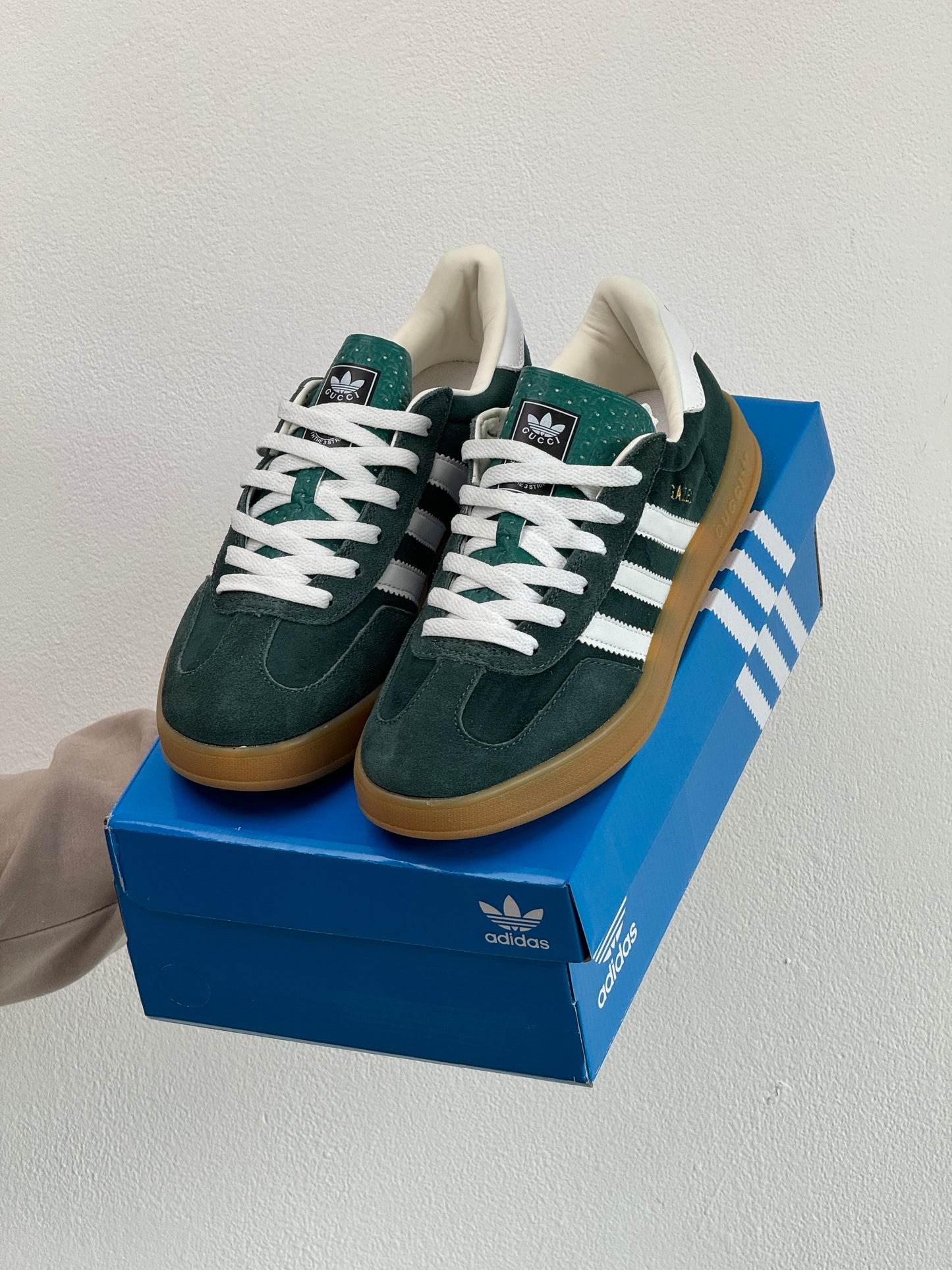 Adidas Gazelle X Gucci