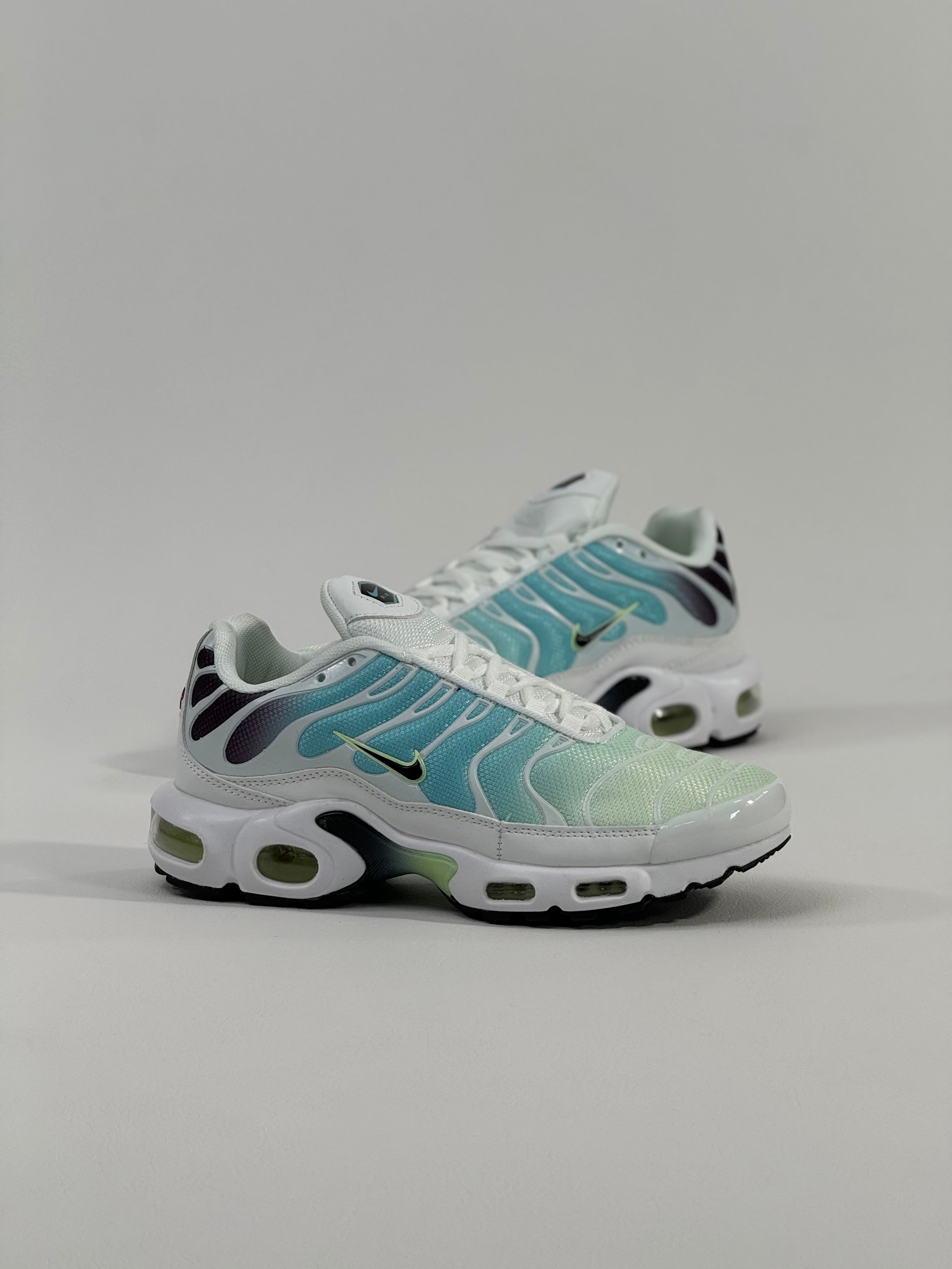 Nike Air Max Plus Dusty Tn – workshop