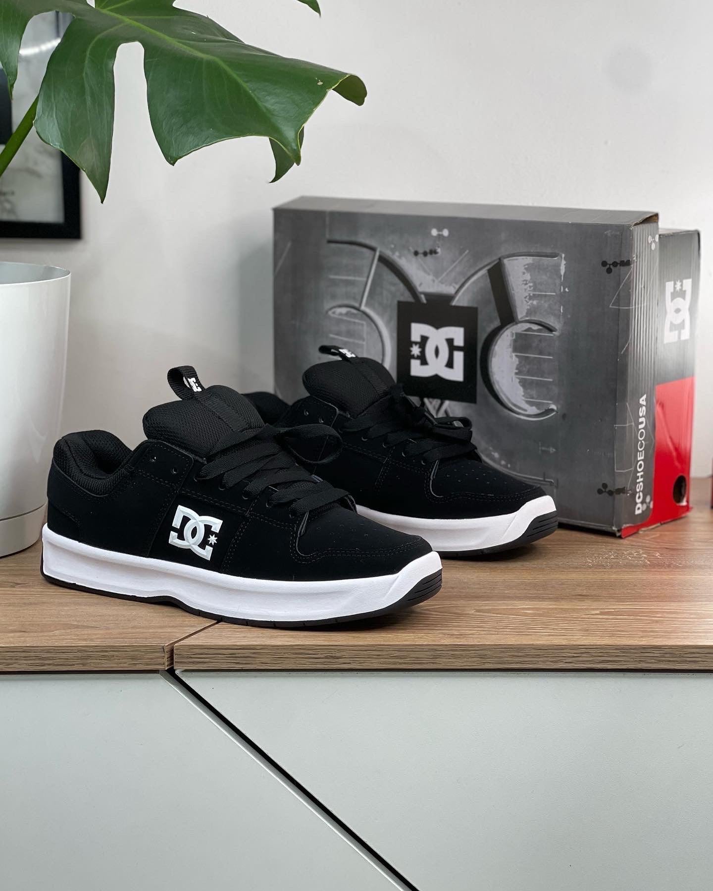 DC Shoes Lynx Zero