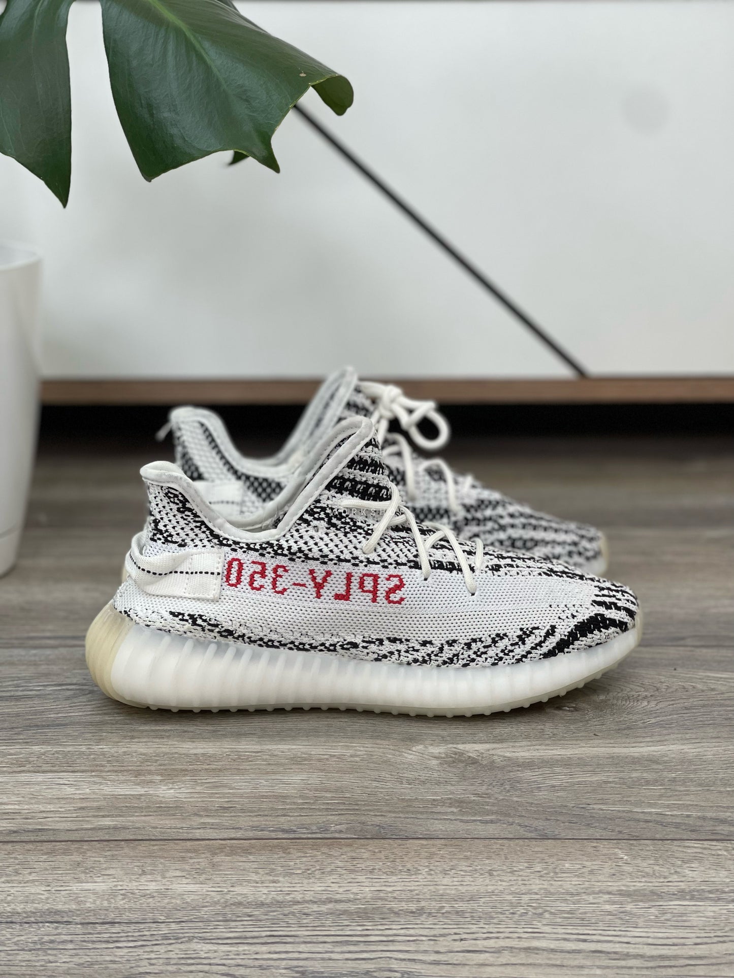 Adidas Yeezy 350 Zebra