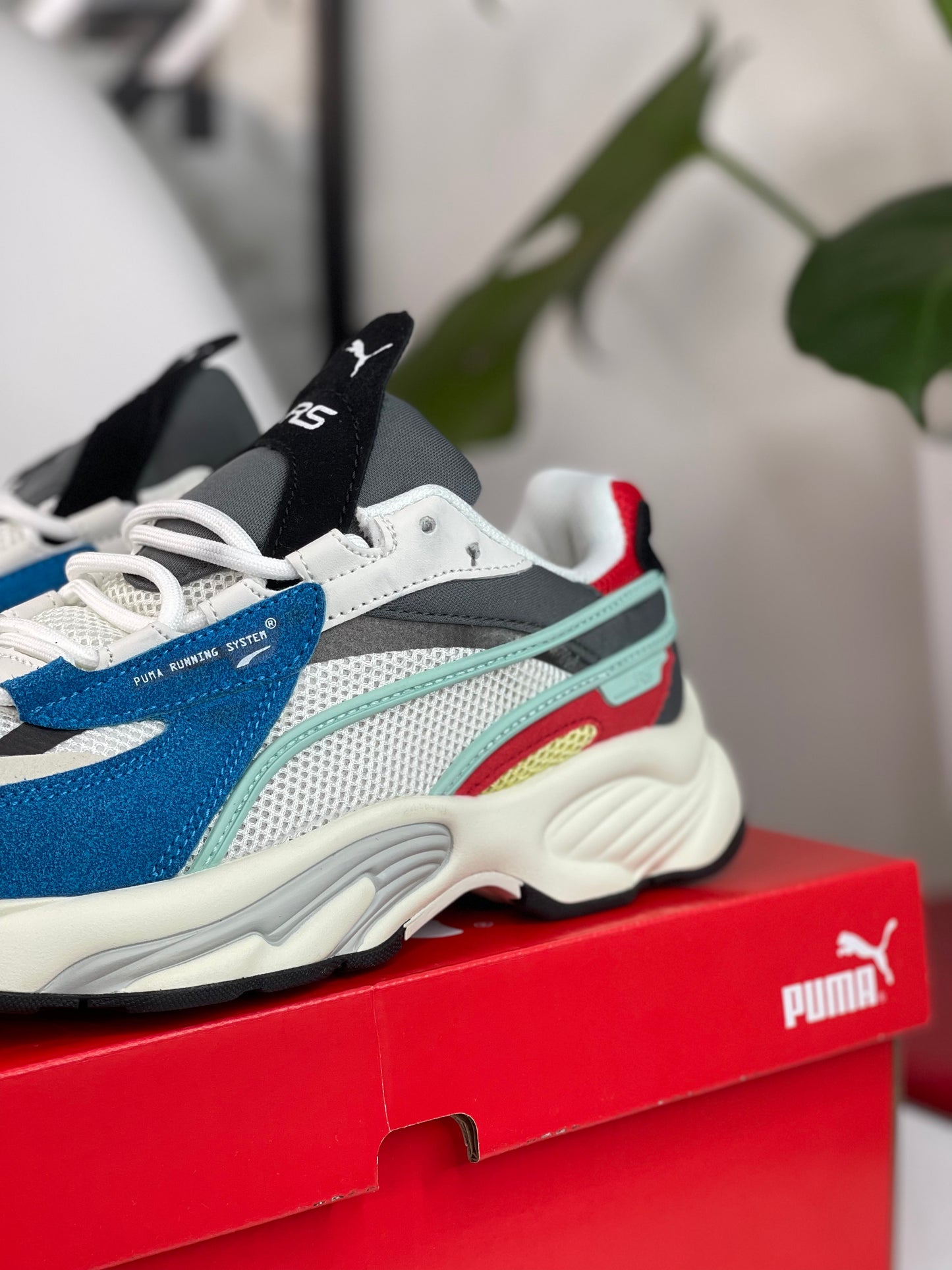 Puma Porsche Multicolor